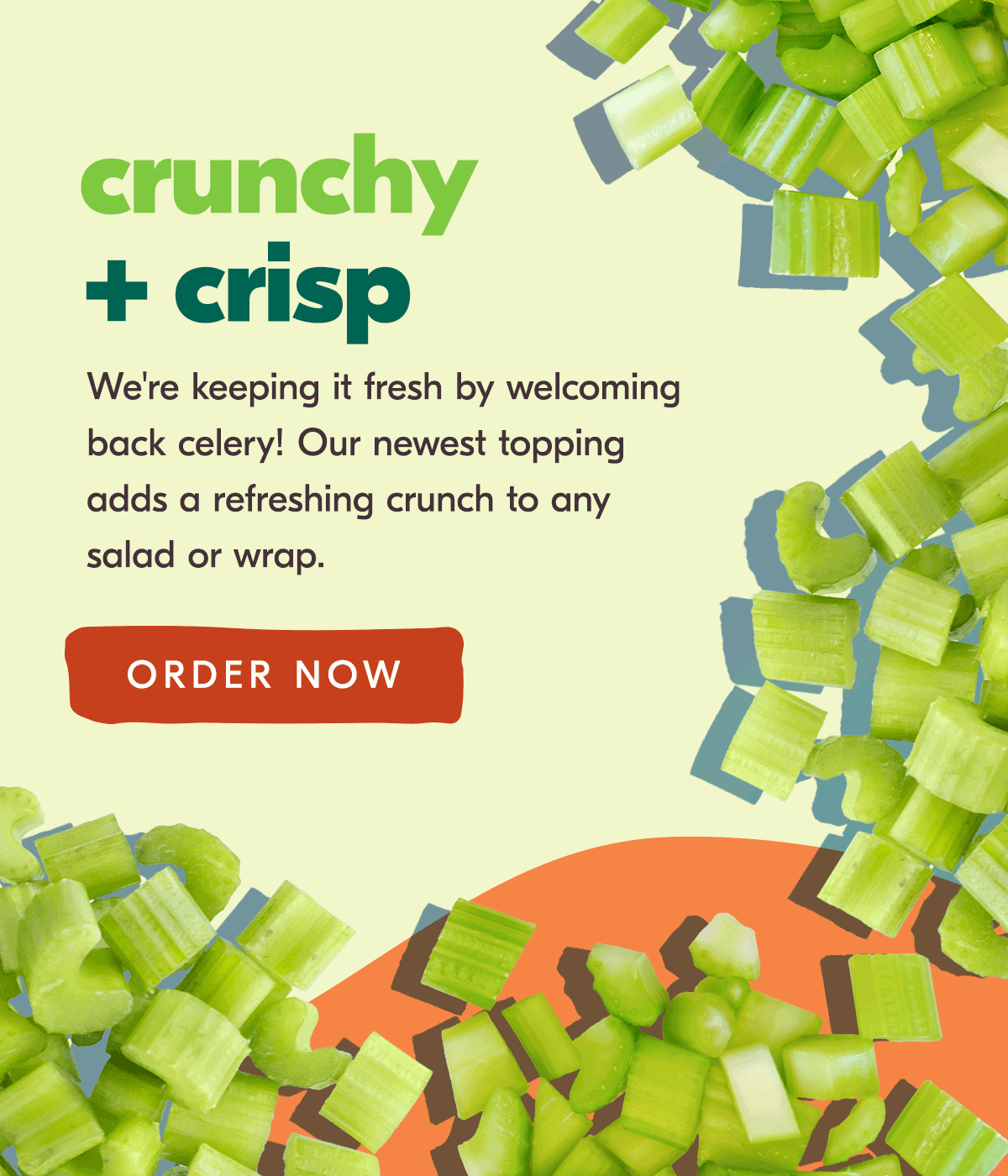 Celery is BACK Salata Salads